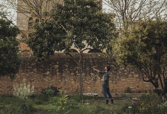 Fiskars PowerGear X Tree pruner