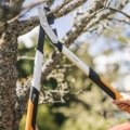 Nůžky na silné větve PowerGear™ X dvoučepelové (M) LX94